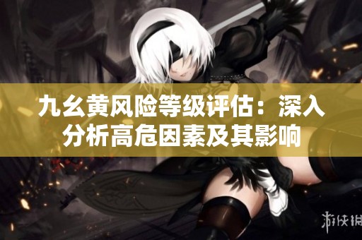 九幺黄风险等级评估：深入分析高危因素及其影响