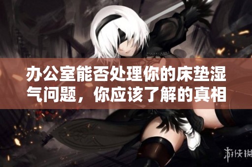 办公室能否处理你的床垫湿气问题，你应该了解的真相