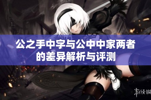 公之手中字与公中中家两者的差异解析与评测