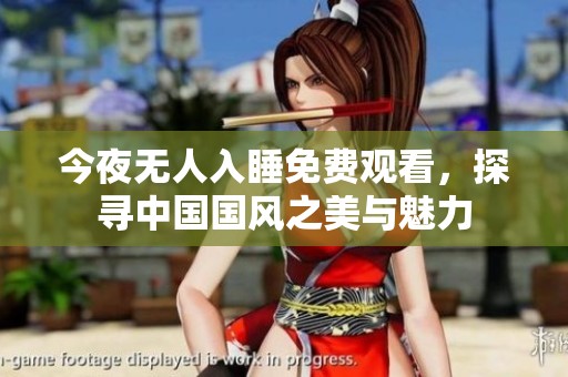今夜无人入睡免费观看，探寻中国国风之美与魅力