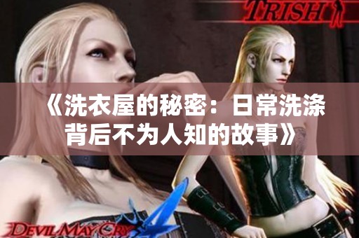 《洗衣屋的秘密：日常洗涤背后不为人知的故事》