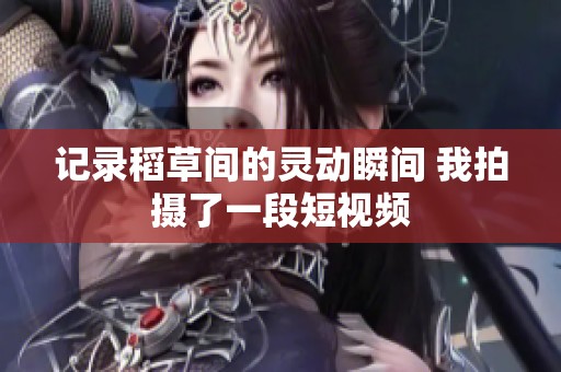 记录稻草间的灵动瞬间 我拍摄了一段短视频