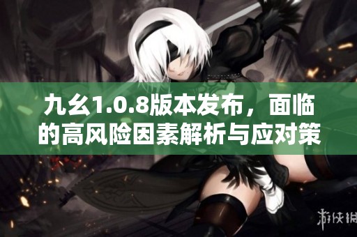 九幺1.0.8版本发布，面临的高风险因素解析与应对策略
