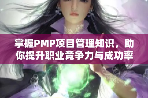 掌握PMP项目管理知识，助你提升职业竞争力与成功率