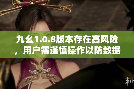 九幺1.0.8版本存在高风险，用户需谨慎操作以防数据丢失