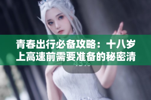 青春出行必备攻略：十八岁上高速前需要准备的秘密清单