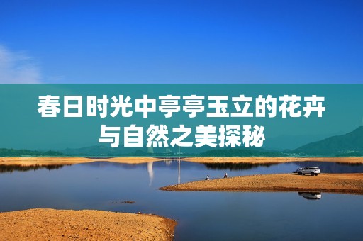 春日时光中亭亭玉立的花卉与自然之美探秘