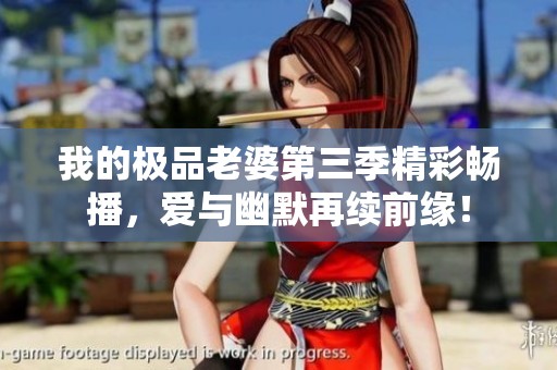 我的极品老婆第三季精彩畅播，爱与幽默再续前缘！
