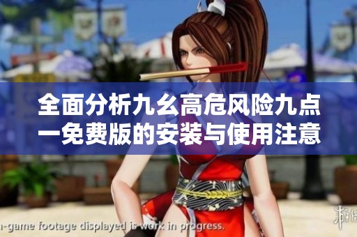 全面分析九幺高危风险九点一免费版的安装与使用注意事项