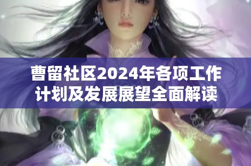 曹留社区2024年各项工作计划及发展展望全面解读