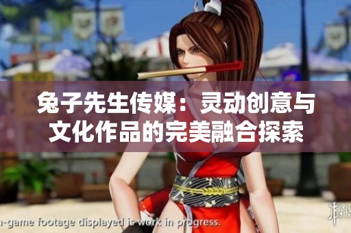 兔子先生传媒：灵动创意与文化作品的完美融合探索