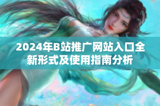 2024年B站推广网站入口全新形式及使用指南分析