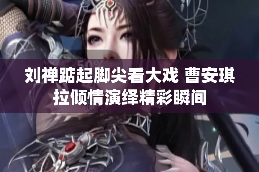 刘禅踮起脚尖看大戏 曹安琪拉倾情演绎精彩瞬间