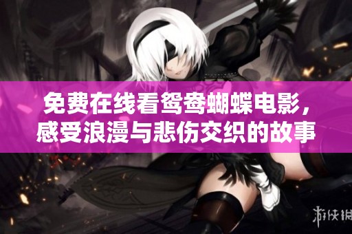 免费在线看鸳鸯蝴蝶电影，感受浪漫与悲伤交织的故事