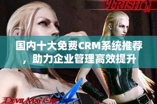 国内十大免费CRM系统推荐，助力企业管理高效提升