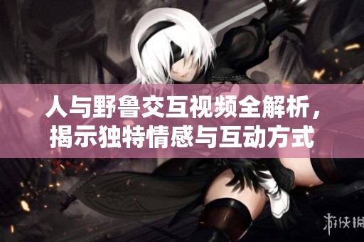 人与野鲁交互视频全解析，揭示独特情感与互动方式