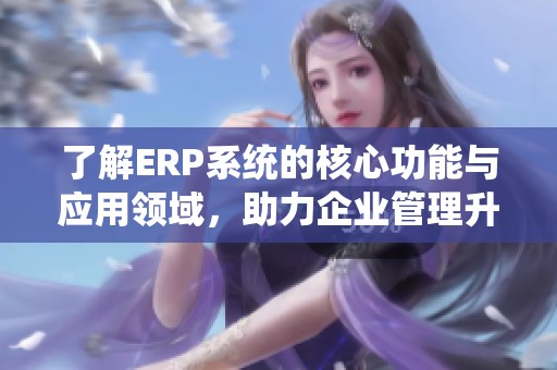 了解ERP系统的核心功能与应用领域，助力企业管理升级