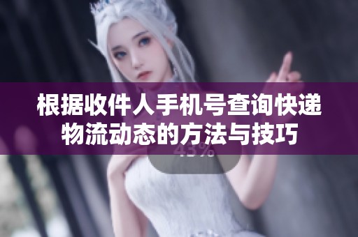 根据收件人手机号查询快递物流动态的方法与技巧