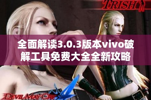 全面解读3.0.3版本vivo破解工具免费大全全新攻略