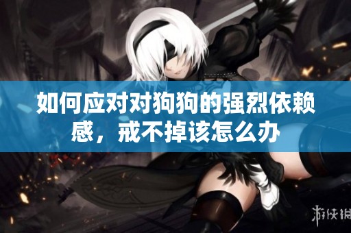 如何应对对狗狗的强烈依赖感，戒不掉该怎么办