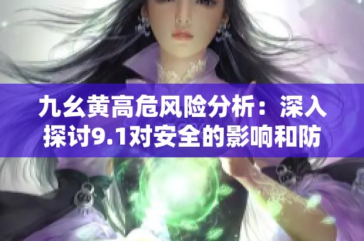 九幺黄高危风险分析：深入探讨9.1对安全的影响和防范措施