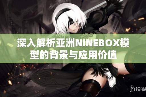 深入解析亚洲NINEBOX模型的背景与应用价值