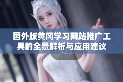 国外版黄冈学习网站推广工具的全景解析与应用建议