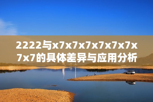 2222与x7x7x7x7x7x7x7x7的具体差异与应用分析