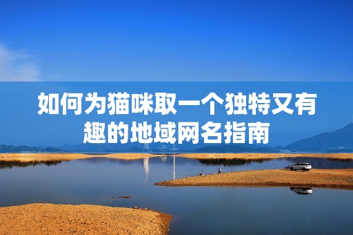 如何为猫咪取一个独特又有趣的地域网名指南