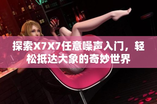 探索X7X7任意噪声入门，轻松抵达大象的奇妙世界