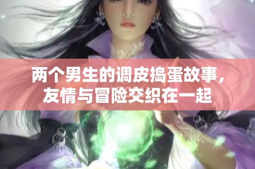 两个男生的调皮捣蛋故事，友情与冒险交织在一起