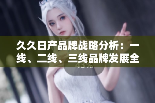 久久日产品牌战略分析：一线、二线、三线品牌发展全景解析