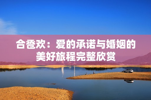 合卺欢：爱的承诺与婚姻的美好旅程完整欣赏