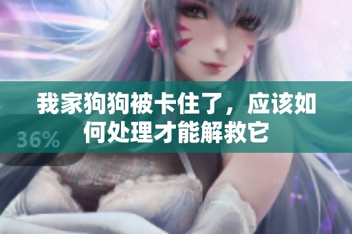 我家狗狗被卡住了，应该如何处理才能解救它