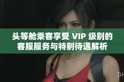 头等舱乘客享受 VIP 级别的客服服务与特别待遇解析
