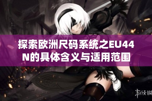 探索欧洲尺码系统之EU44N的具体含义与适用范围