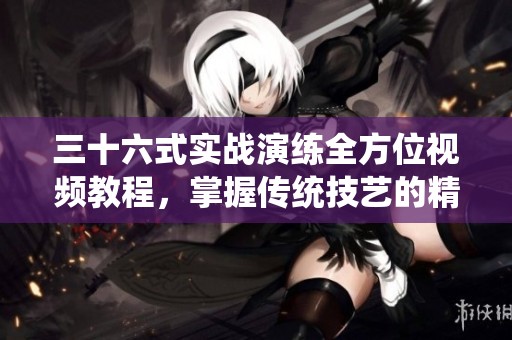 三十六式实战演练全方位视频教程，掌握传统技艺的精髓