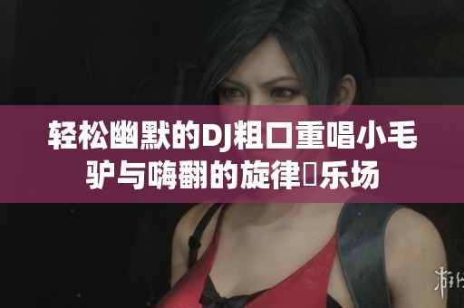 轻松幽默的DJ粗口重唱小毛驴与嗨翻的旋律遊乐场