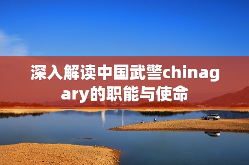深入解读中国武警chinagary的职能与使命