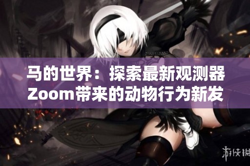 马的世界：探索最新观测器Zoom带来的动物行为新发现
