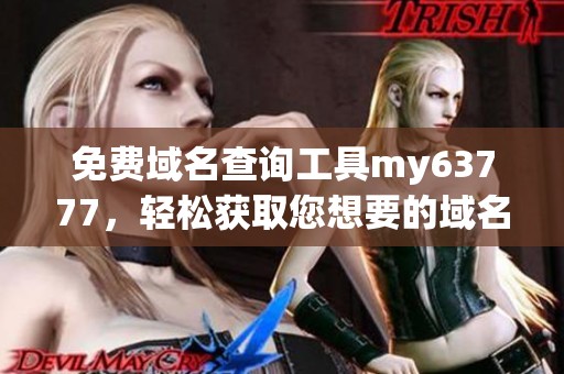免费域名查询工具my63777，轻松获取您想要的域名信息