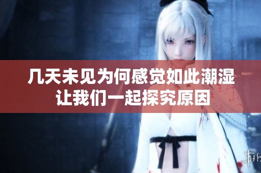 几天未见为何感觉如此潮湿 让我们一起探究原因