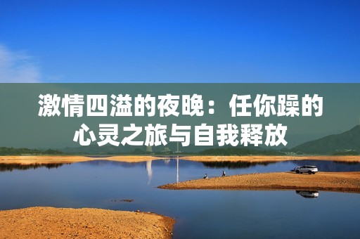激情四溢的夜晚：任你躁的心灵之旅与自我释放
