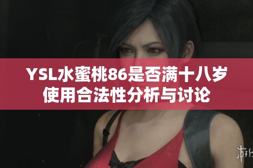 YSL水蜜桃86是否满十八岁使用合法性分析与讨论