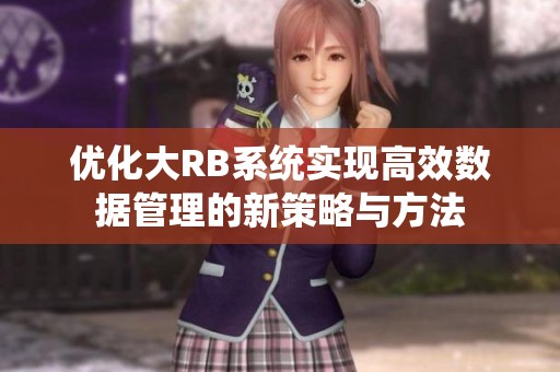 优化大RB系统实现高效数据管理的新策略与方法