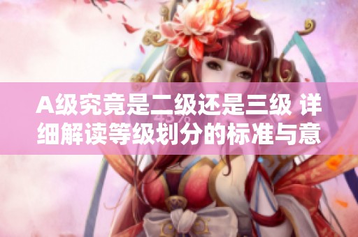 A级究竟是二级还是三级 详细解读等级划分的标准与意义