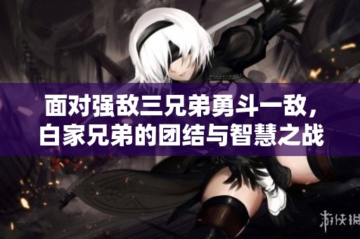 面对强敌三兄弟勇斗一敌，白家兄弟的团结与智慧之战