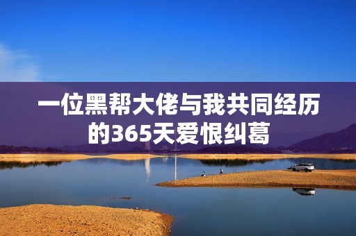 一位黑帮大佬与我共同经历的365天爱恨纠葛