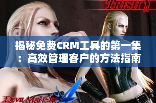 揭秘免费CRM工具的第一集：高效管理客户的方法指南
