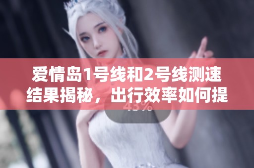 爱情岛1号线和2号线测速结果揭秘，出行效率如何提高